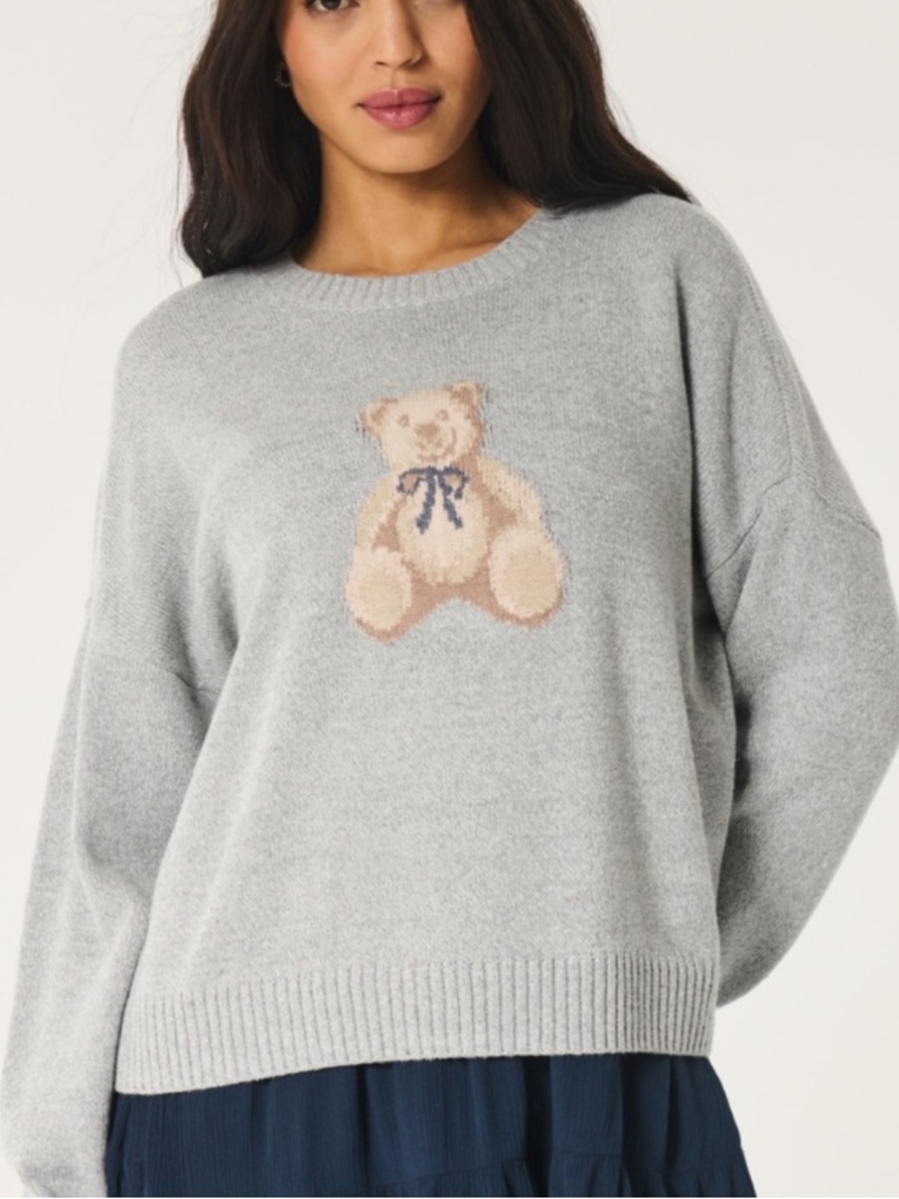 NWT Hollister Bear Sweater